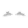 Heliophilia Silver Pendientes de Plata de Ley 925 11434ROD